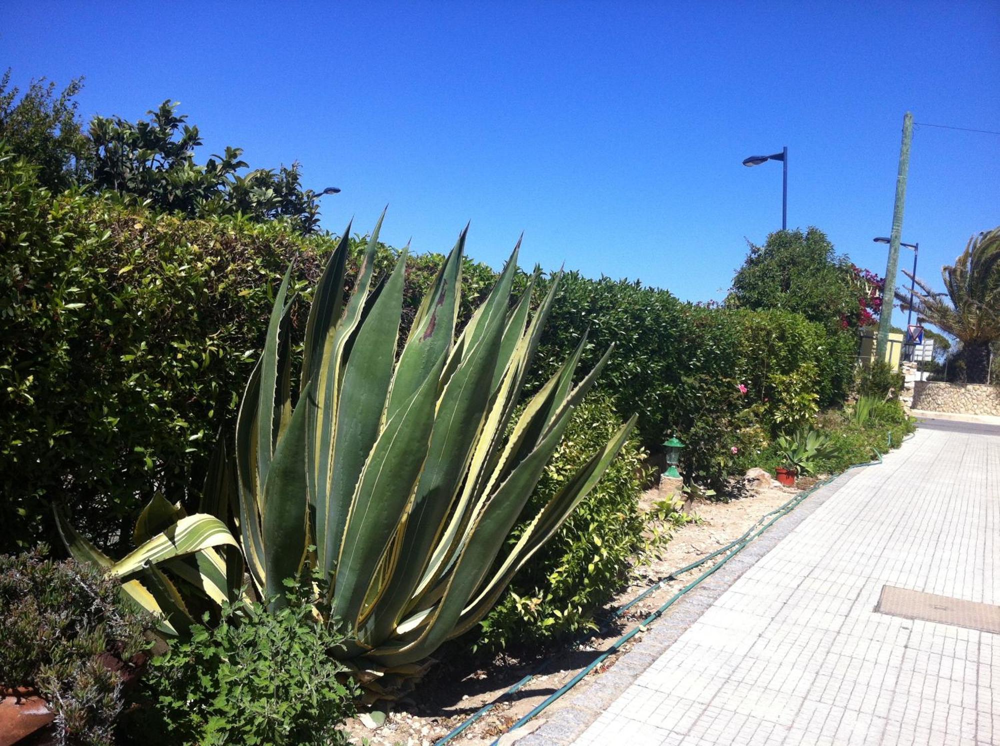 Casa Do Cabo De Santa Maria Hotel Sagres Ngoại thất bức ảnh