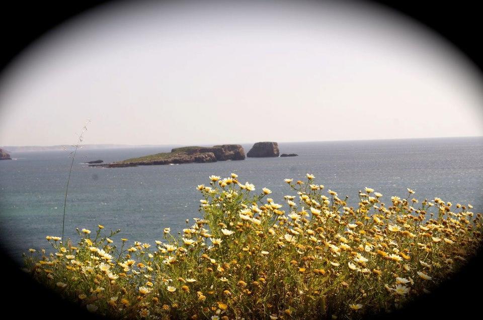 Casa Do Cabo De Santa Maria Hotel Sagres Ngoại thất bức ảnh